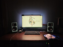 漫步者（EDIFIER）AIRPULSE A80 书架式有源音箱 蓝牙音箱 客厅音响 电视音响 蓝色 实拍图