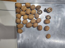 楼兰蜜语高品质阿克苏薄皮核桃5斤/箱原味核桃纸皮节日送礼盒每日坚果零食 实拍图
