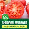 绿行者（GREER）粉番茄净重3斤 单果130g+ 约8-11枚 西红柿 源头直发 实拍图