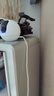 萤石摄像头C6C2K星光夜视智能家居云台室内摄像头监控器家用无线wifi手机远程高清4mp 新C6c 星光版【400万星光夜视+5G双频】 32G高速卡【下单升级64G】 实拍图