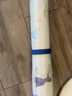 babycare婴儿抑菌凉席宝宝透气冰丝席儿童幼儿园可水洗鲸鱼喷泉56*100CM 实拍图
