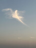 Jupiter & Venus蓝风铃经典藤条香薰室内卧室香氛家用无火扩香圣诞礼物生日送闺蜜 实拍图