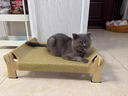 剑麻猫抓板行军床猫窝夏季藤编凉席猫狗沙发离地宠物吊床 大号行军床-凉席款 实拍图