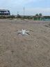 大疆（DJI）Mini 3 航拍无人机 便携可折叠无人机航拍飞行器 Mini 3 带屏遥控器版 官方标配（不含随心换） 标配(不含内存卡) 实拍图