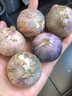 云南紫皮独头蒜2025新鲜干蒜独蒜头调味农家自种生鲜蔬菜 2斤 独头蒜 独头蒜大果【3-3.5cm】 实拍图