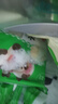 安井 纸皮烧麦 猪肉三丁馅烧卖  240g*2包 共8个 速冻面点早餐半成品 实拍图