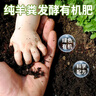 【羊粪】发酵有机肥料植物盆栽果树兰花肥家用营养土化肥 羊粪发酵有机肥80斤 实拍图