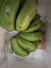 正宗广西小米蕉自然熟鹏茂新鲜香蕉青蕉发货产地直发新鲜水果酸甜 净重3斤 实拍图