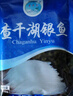 查干湖银鱼250g*2袋 新鲜冷冻国产淡水鱼面条鱼白饭鱼源头直发包邮 实拍图