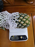 广东香水菠萝 徐闻菠萝 新鲜水果非凤梨现采现摘整箱包邮 【1个装】净重1.3斤-1.5斤 实拍图