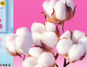 七度空间少女超薄 100%纯棉 夜用卫生巾组合 40片【品牌直供 安心品质】 实拍图