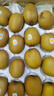 佳沛（zespri）新西兰  阳光金奇异果18粒超大果原箱单果重约173-204g 猕猴桃 实拍图