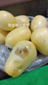 陇原红 民勤沙漠人参果大果 甘肃人生果长果黄肉孕妇宝宝水果 新鲜水果 3斤精选中果 实拍图