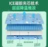 宠物冰垫猫咪专用冰垫狗狗夏天降温神器猫窝狗窝宠物凉垫超大号 冰熊凉垫M码【50*40CM-12斤内】 猫狗通用 降温黑科技/凉感提升35%+ 实拍图