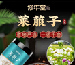 修年堂 莱菔子500g 萝卜子 白萝卜籽 精选 生莱菔子 实拍图