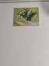 梵高丰收油画世界名画客厅沙发背景墙装饰画大气餐厅壁画三联挂画 夹竹桃 50*40CM布纹理面 实拍图