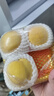 知识花园仿真恐龙玩具模型霸王龙软胶儿童3-6岁男女孩生日礼物37件套 实拍图