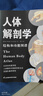 人体解剖学 实拍图