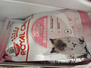 皇家皇家幼猫猫粮 幼猫奶糕 K36 通用粮 4-12月 2KG 实拍图