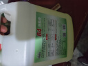 【消毒杀菌】好宜佳84消毒液大桶装酒店餐厅宿舍家用漂白消毒除菌 五斤装（家庭装） 实拍图