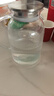 青苹果耐热玻璃凉水壶1.6L 可明火直烧冷水壶花茶壶泡茶围炉煮茶壶 实拍图