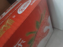 蒙牛（MENGNIU）未来星成长儿童牛奶原生钙骨力型125ml*20盒早餐学生奶营养添骨力 实拍图
