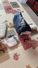 babycare皇室狮子王国弱酸纸尿裤加大号XL36片(12-17kg)婴儿尿不湿亲肤 实拍图