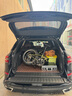 大行（DAHON）折叠自行车20英寸8级变速经典P8单车KBC083 消光绿高配款-京仓 实拍图