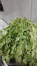 【24小时菜】青浦荠菜150g 实拍图