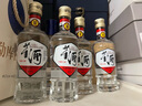 董酒 复刻 白标 董香型白酒 54度125ml*6瓶 实拍图
