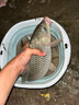 龙王恨鱼饵野战蓝鲫X5青春版腥香饵江河黑坑野钓鲫鲤草鳊鱼通杀钓鱼饵料 蓝鲫青春版-腥香(300g/1包) 实拍图