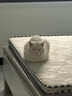多特思(DOTUS) 猫零食猫条金枪鱼味15g*100支成猫幼猫咪零食湿粮 实拍图