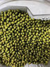 御西美农 绿豆1kg（罐装）东北杂粮粗粮易出沙可发豆芽打豆浆绿豆糕 实拍图