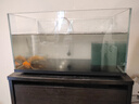 憨憨乐园 鱼缸过滤材料净水魔方大号水族滤材细菌球过滤器材 实拍图