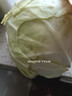 新鲜甘蓝包菜卷心菜新鲜嫩绿莲花白现摘现发早餐减脂 新鲜包菜 2.5-3斤 人工挑拣 实拍图