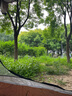 北极狼（BeiJiLang）户外露营帐篷3-5人全自动速开六角便携式蒙古包家庭公园野营套装 实拍图