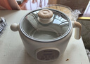 小质2L电煮锅可煮饭预约定时电热锅小电锅电饭煲电蒸锅宿舍泡面小火锅电脑控制多功能锅DZG09DT带蒸笼 实拍图