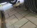 猫玩具小老鼠毛绒宠物猫咪玩具仿真遥控老鼠手动幼猫自嗨逗猫狗狗 【黑色】发条小老鼠 实拍图