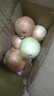 京喜加买菜新鲜黄洋葱水果蔬菜调料洋葱 【尝鲜】 500g 含箱 实拍图