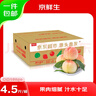 京鲜生 山东蒙阴水蜜桃净重4.5斤 单果150g+毛桃子 生鲜水果 源头直发 实拍图