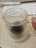 忆壶茶玻璃茶杯个人专用泡茶水分离带盖把手耐热无铅办公室绿茶水杯子 实拍图