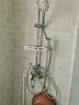 莱尔诗丹（Larsd）明装淋浴花洒套装 明管花洒 四功能带喷枪带置物架 淋浴器LD5826 实拍图
