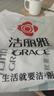 洁丽雅（Grace）新疆长绒棉 棉花纤维秋冬被芯  4斤150*200cm 白 实拍图
