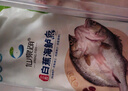 仙泉湖三去白蕉海鲈鱼1斤/条净膛冷冻刺少肉厚珠海特产500g生鲜食材 实拍图
