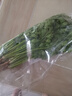 带根香菜100g 实拍图