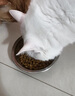 冠能普瑞纳猫粮成猫猫粮鸡肉味2.5kg 雀巢全价猫粮 稳固免疫 鸡肉口味成猫粮试吃装120g 实拍图