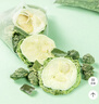 贡苑桑叶双瓜茶260g共52包霜打桑叶苦瓜茶冬瓜皮组合糖压血养生茶 实拍图