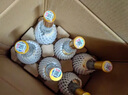 汾酒 黄盖玻汾 清香型白酒 53度 475mL*6瓶 整箱装非原箱 实拍图