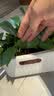 植男植女大叶金钻蔓绿绒室内桌面懒人绿植盆栽好养花卉植物源头直发 实拍图