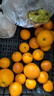 逮果重庆奉节脐橙纽荷尔春橙福本特级大果礼盒装时令新鲜孕妇水果橙子 特级果20斤礼盒装【JD/顺丰】 实拍图